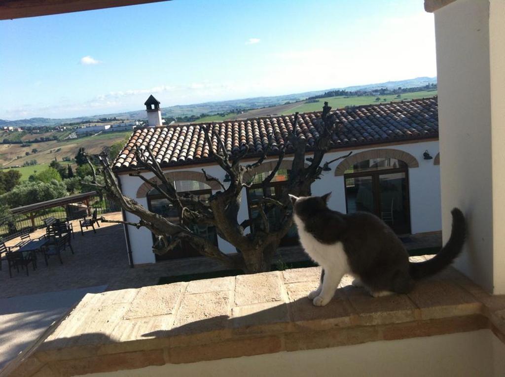 Villa Coralia Agriturismo Osimo Zewnętrze zdjęcie