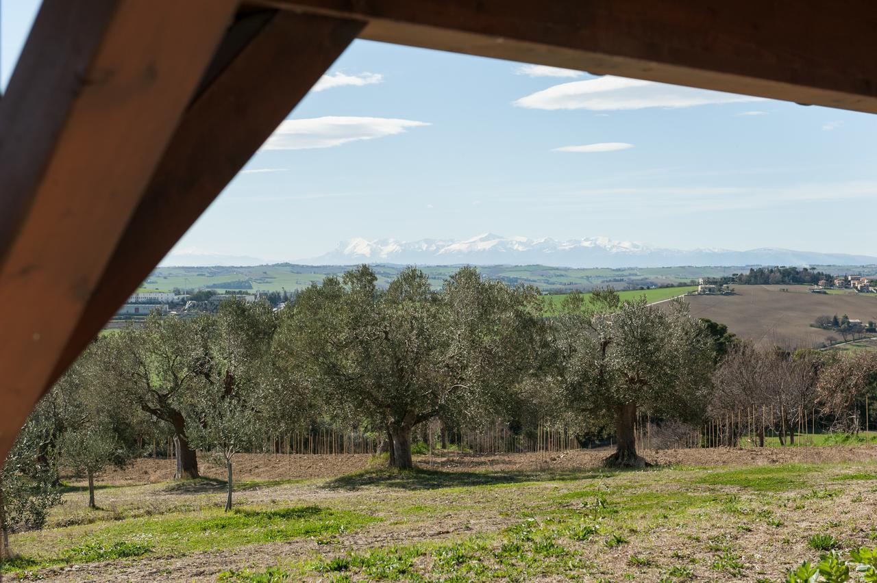 Villa Coralia Agriturismo Osimo Zewnętrze zdjęcie