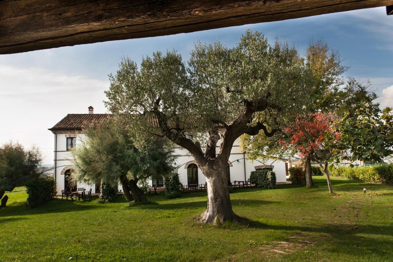 Villa Coralia Country House Osimo Zewnętrze zdjęcie