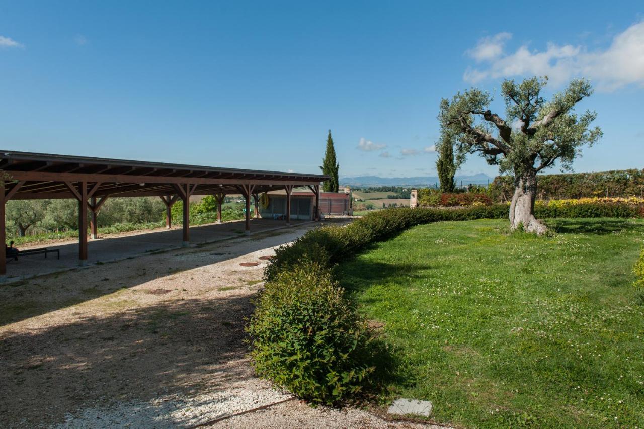 Villa Coralia Agriturismo Osimo Zewnętrze zdjęcie