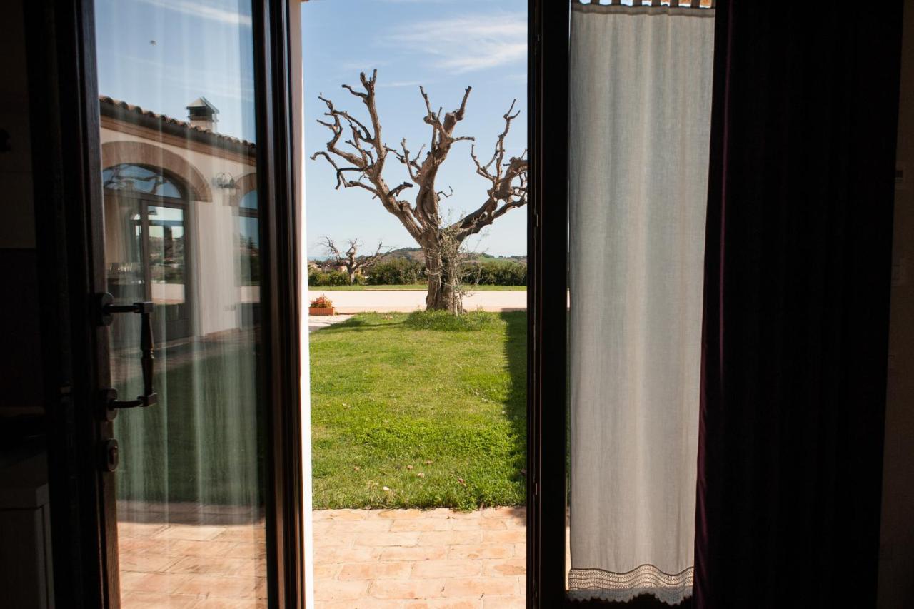 Villa Coralia Agriturismo Osimo Zewnętrze zdjęcie