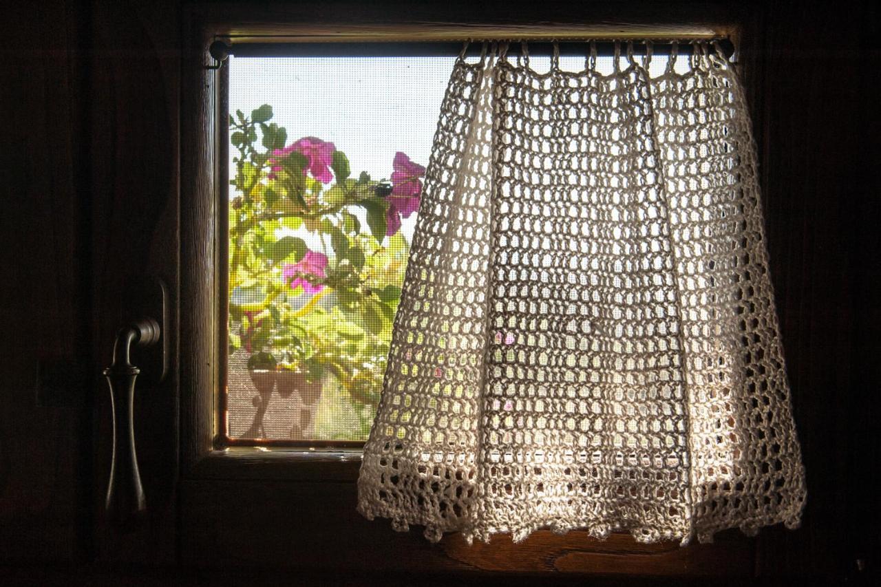 Villa Coralia Agriturismo Osimo Zewnętrze zdjęcie